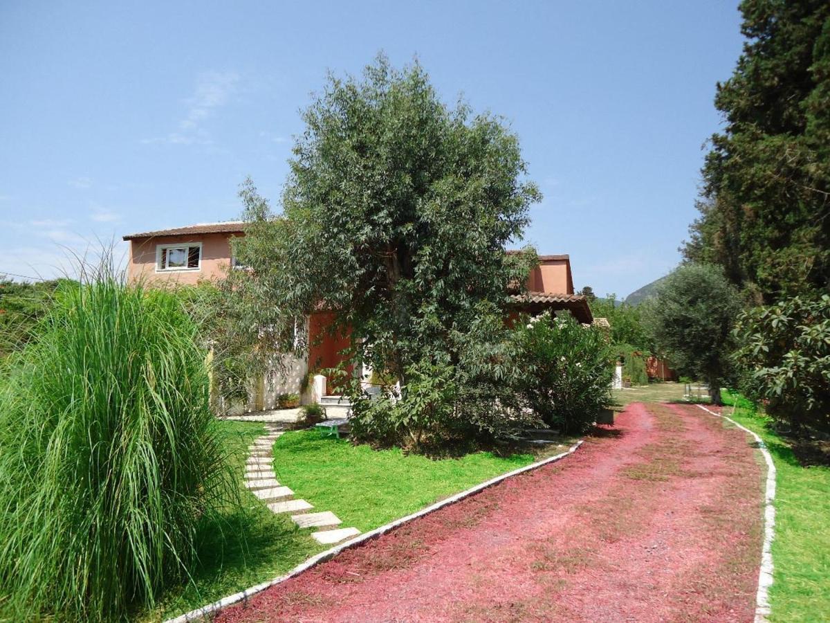 Errika Apartment Ypsos Exterior photo